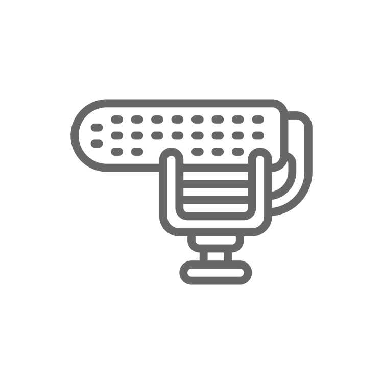 Audio